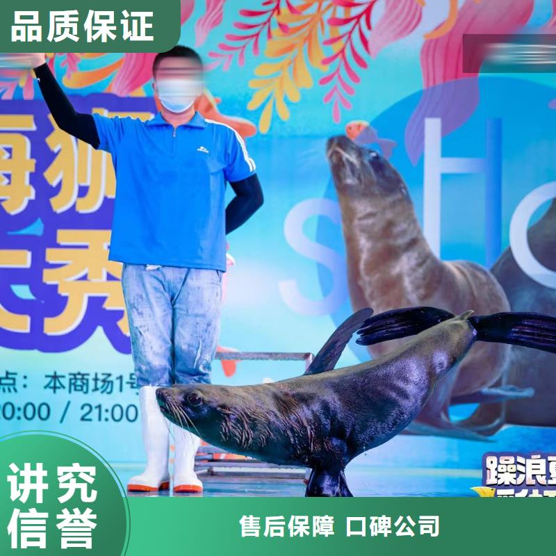 海洋主题动物表演【动物表演】快捷