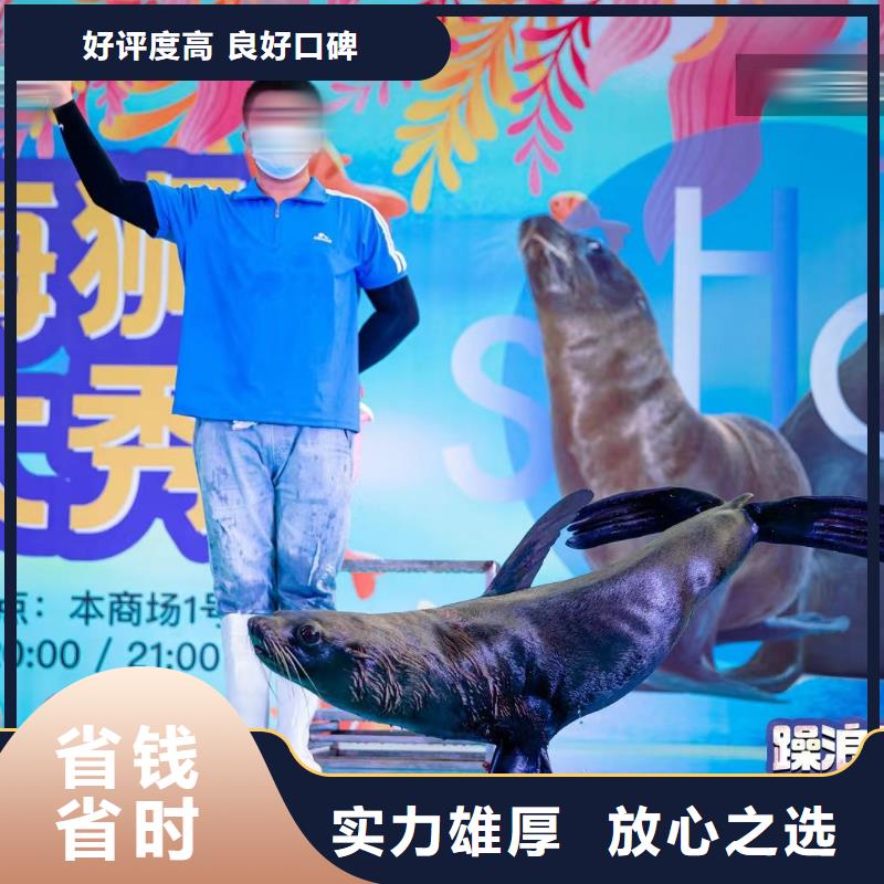 海洋展租赁活跃气氛