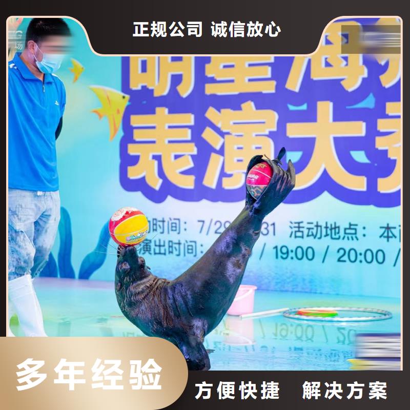 海洋主题动物表演鹦鹉表演租赁专业服务
