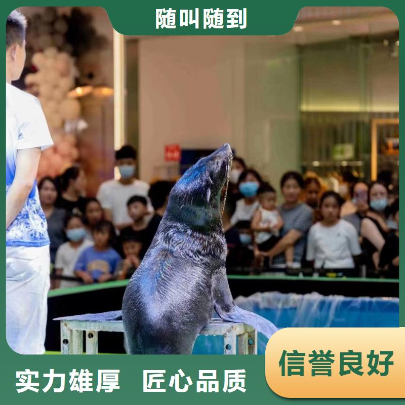 海洋生物展租赁