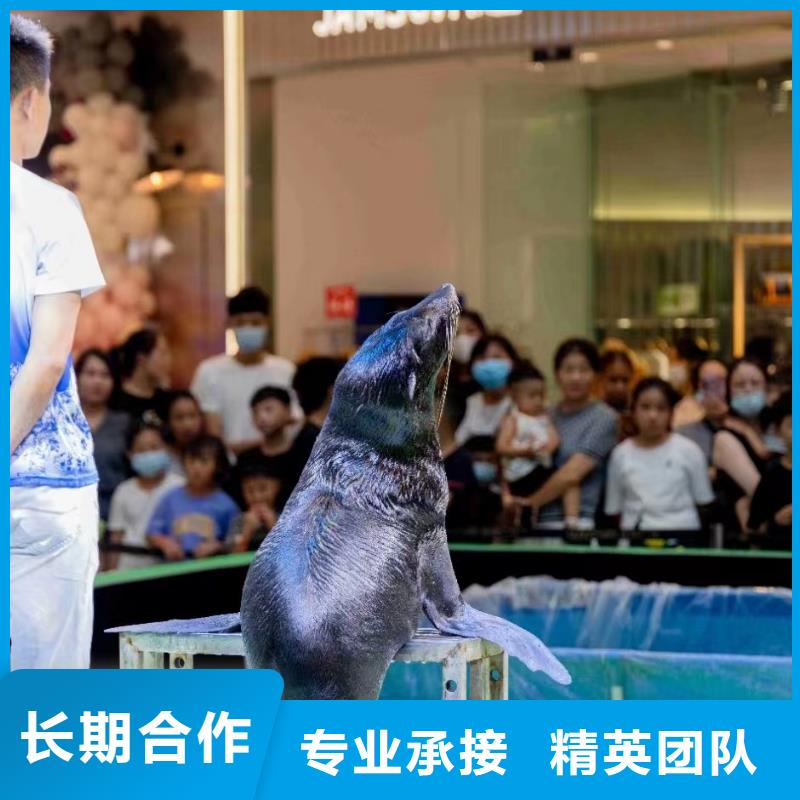 出租海洋生物展联系方式