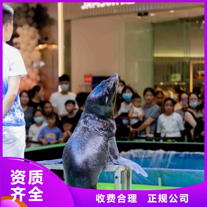 海洋展租赁活跃气氛