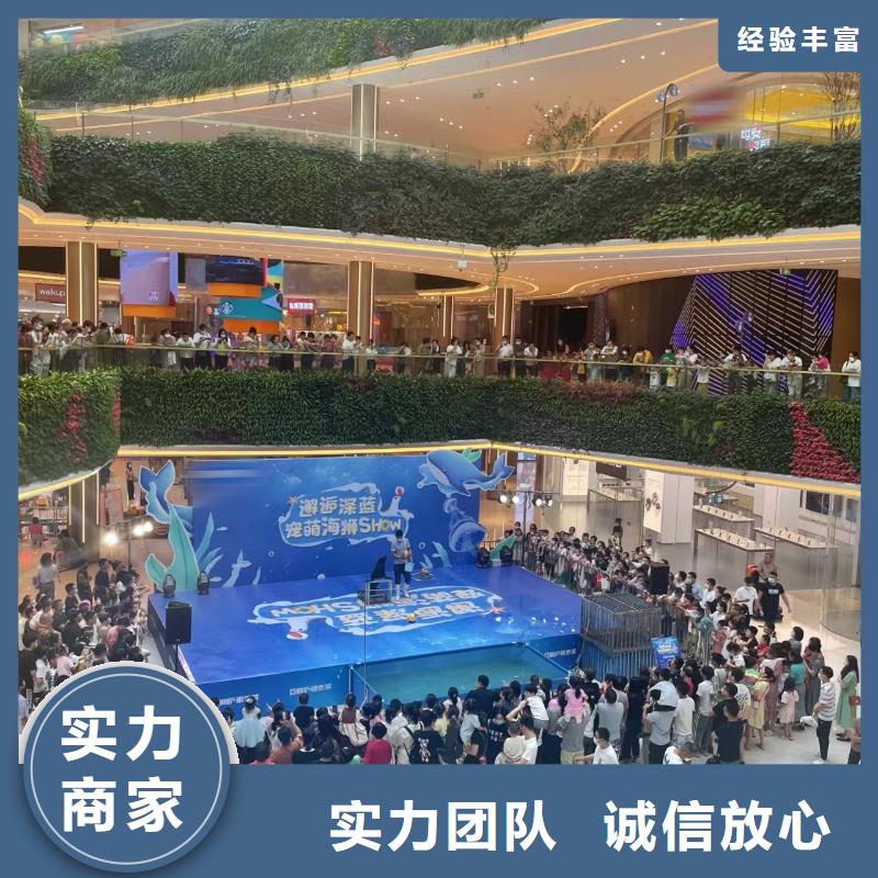 海洋主题动物表演_动物杂技表演租赁专业团队