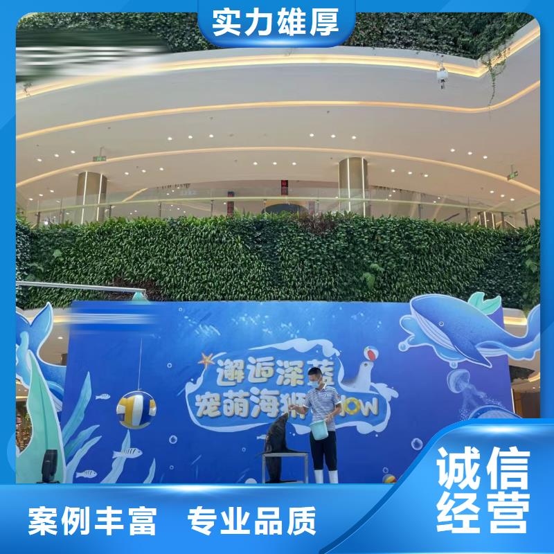 海洋主题动物表演【海狮租赁表演】实力强有保证