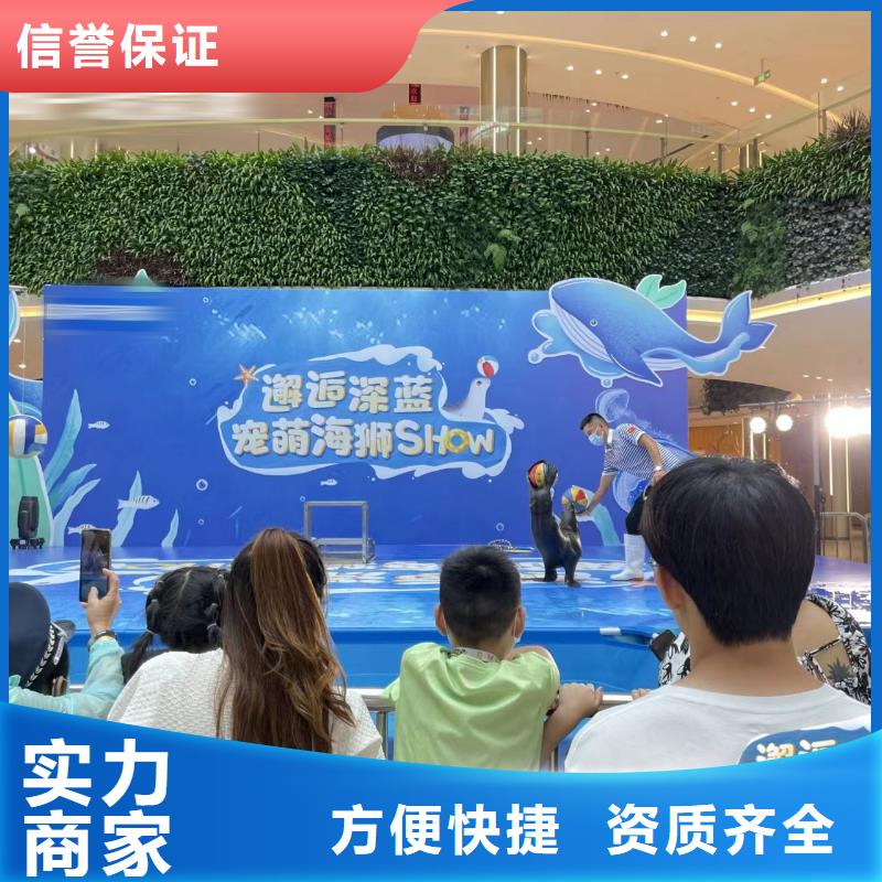 海洋主题动物表演海狮表演出租诚信