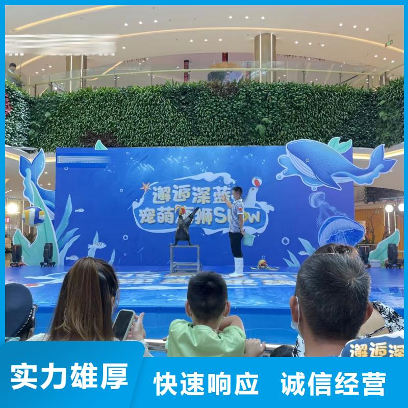 【海洋主题动物表演动物展览秀有实力】