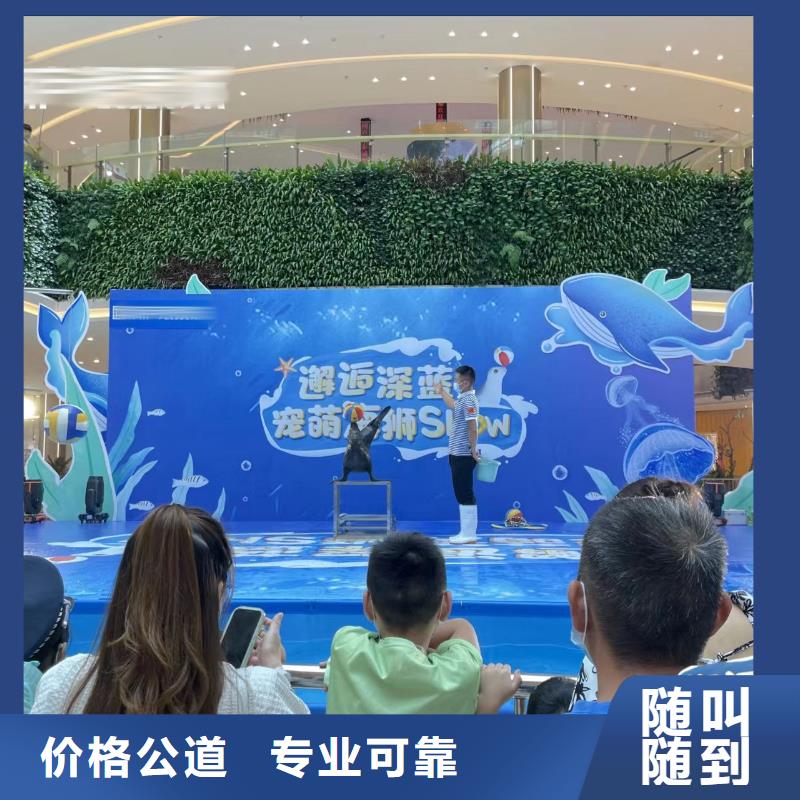 海洋主题动物表演羊驼出租精英团队