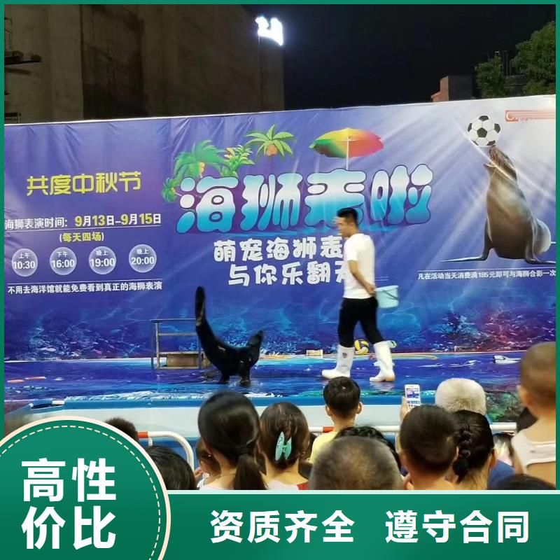 上饶批发海洋生物展出租