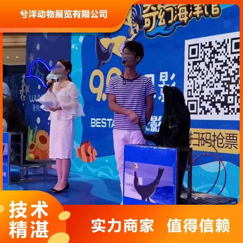 海洋展出租图片