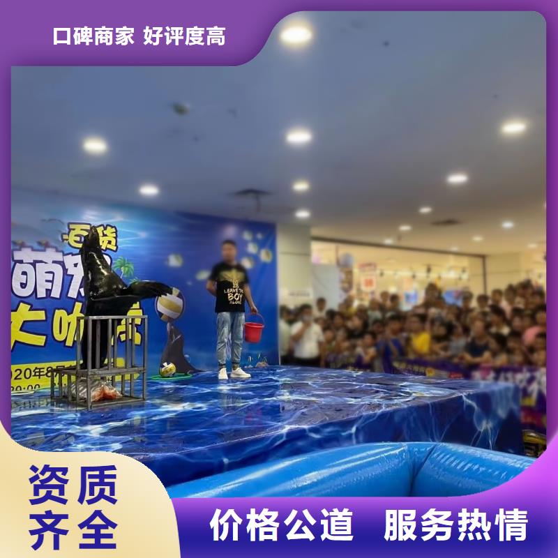 海洋主题动物表演 出租马戏团表演专业品质