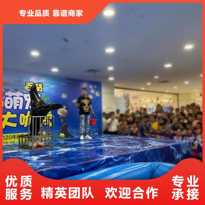 海洋主题动物表演-表演动物出租快速