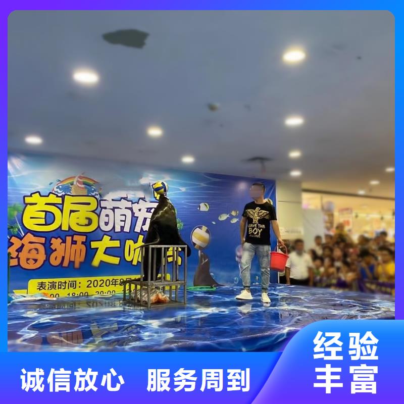 美人魚表演出租