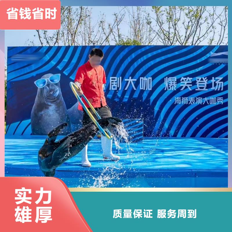 海洋主題動物表演美人魚表演誠實守信