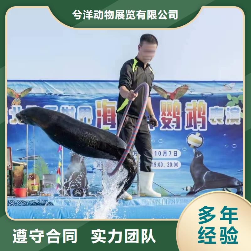美人鱼表演-视频-杭州|嘉兴|丽水|衢州|湖州|台州|温州美人鱼表演价格公道-兮洋动物展览(浙江省分公司)