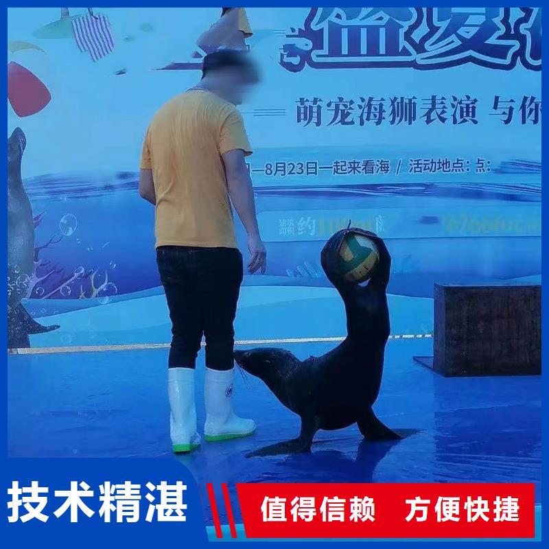 海洋生物展租赁公司资源丰富