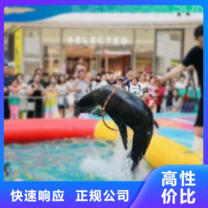 【海洋主题动物表演-海洋展租赁欢迎合作】-[台湾]公司<兮洋>