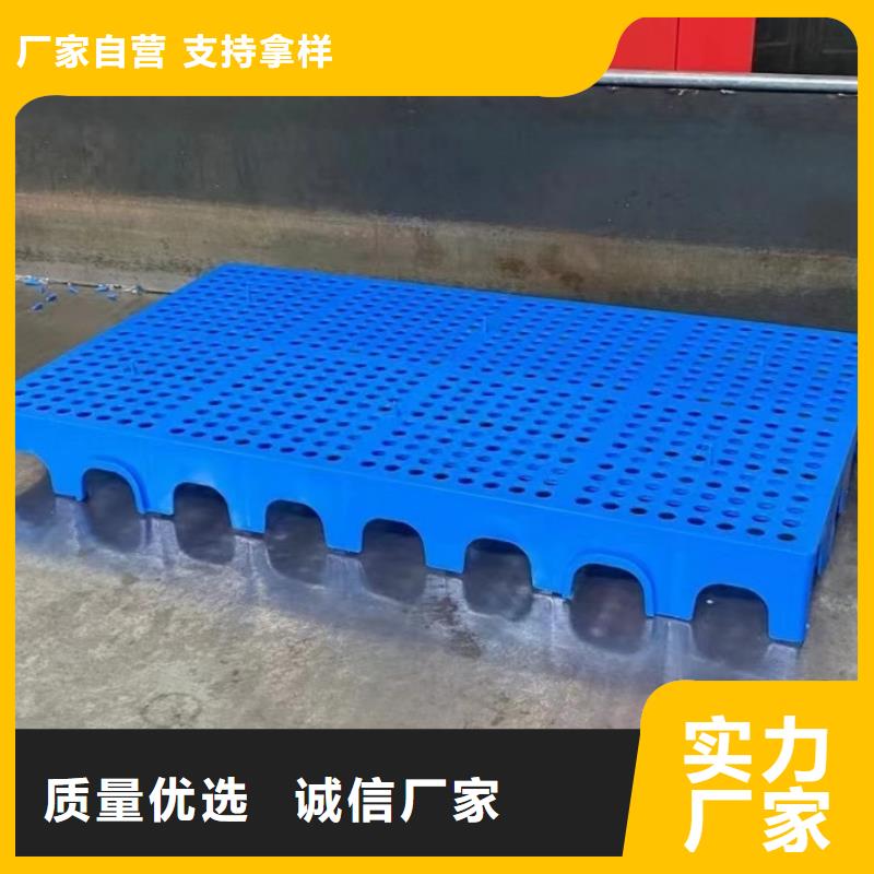 塑料托盘网格田字型托盘诚信可靠
