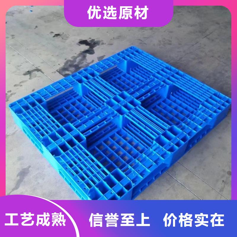 塑料托盘 仓库叉车加厚塑胶地台板厂家实力大