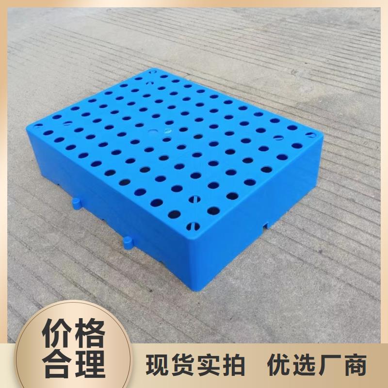 塑料托盘-加厚塑胶地台板低价货源