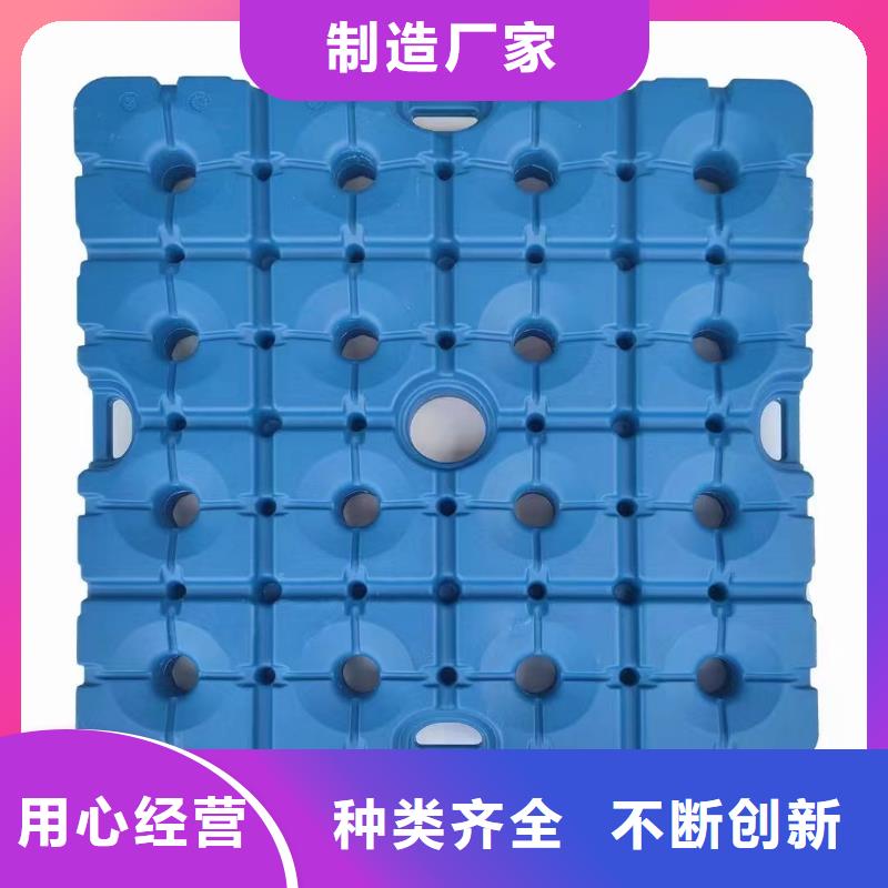 塑料托盘【折叠果蔬塑料筐】专业信赖厂家