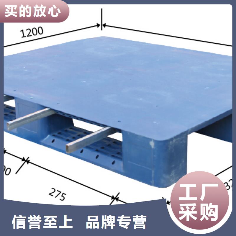 丰满区塑料防潮板有卖