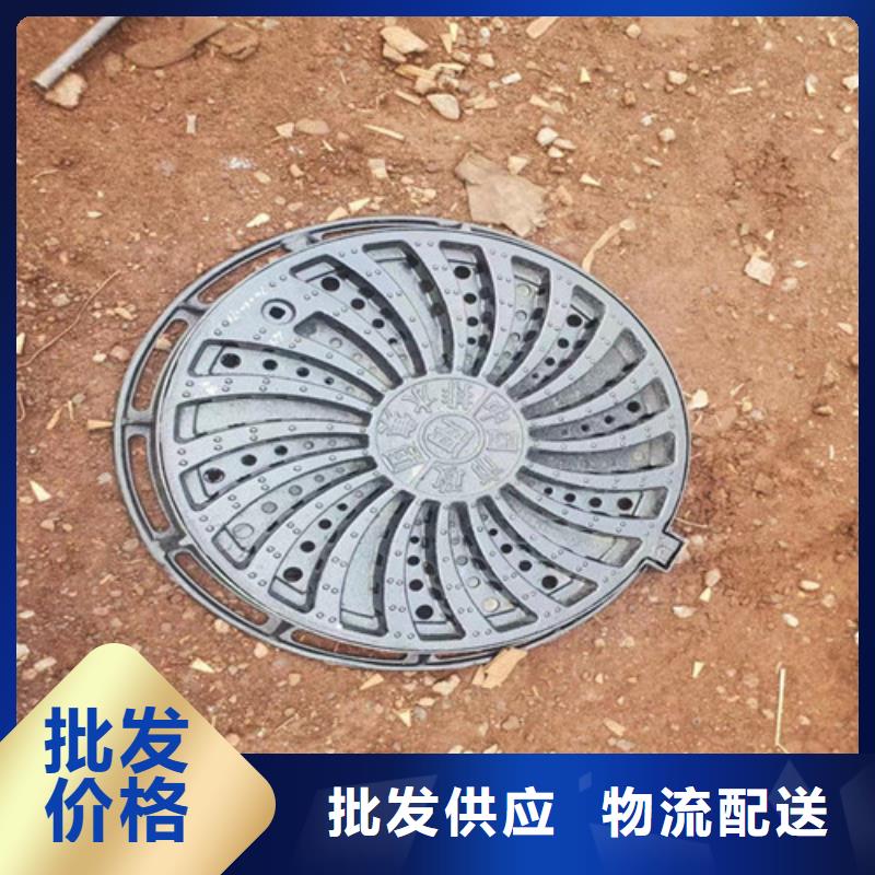重庆找250*500球墨铸铁排水盖板现货报价