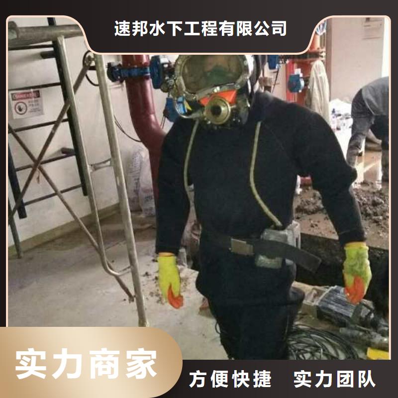 水下安装气囊封堵<市政管道水下封堵>工程案例