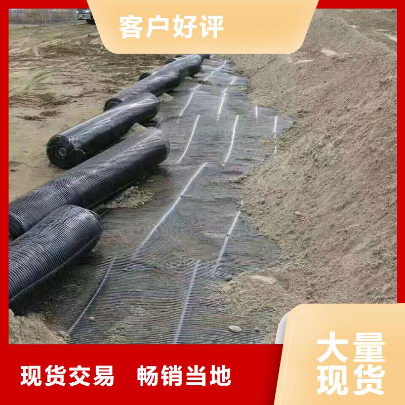 钢塑土工格栅厂家价格