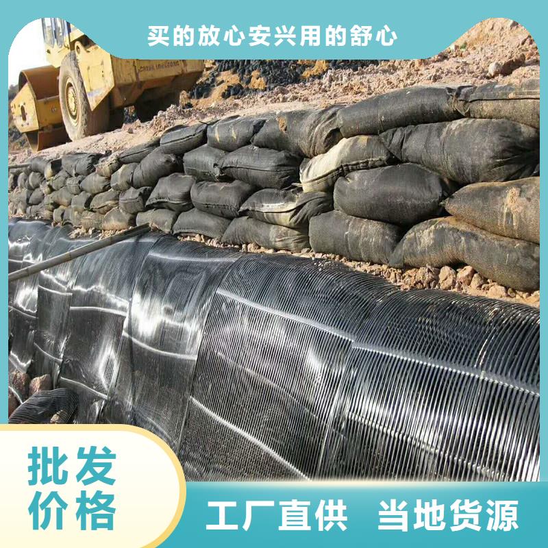 双向塑料格栅厂家