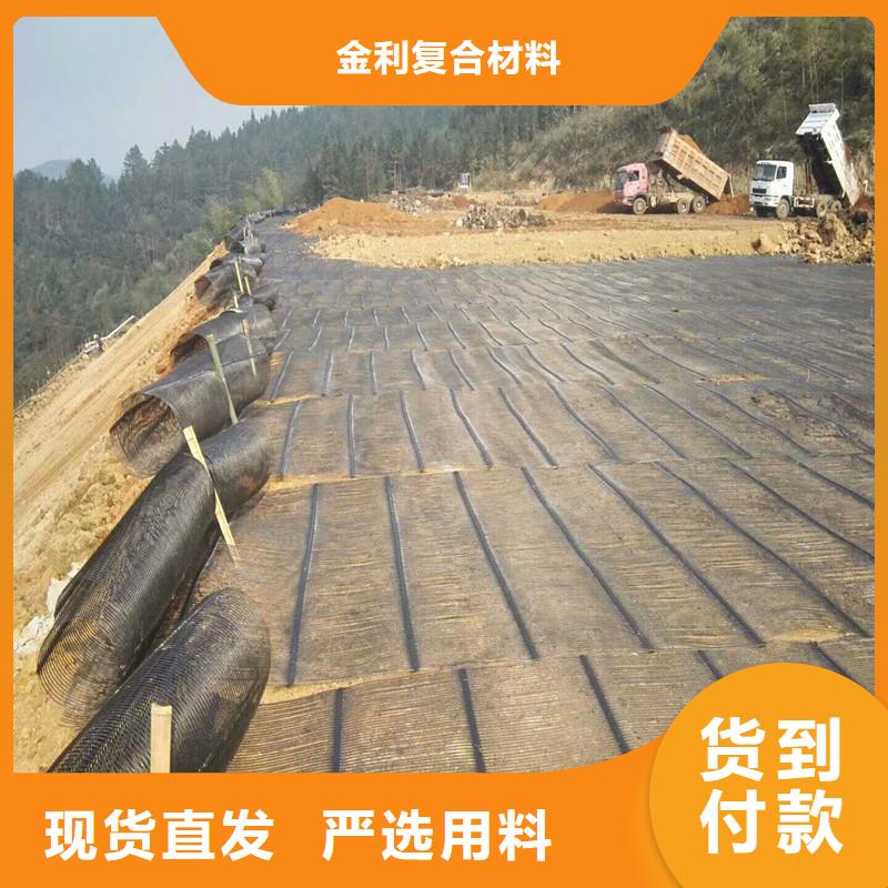 土工格栅\抗裂贴玻璃纤维土工格栅精工细作品质优良