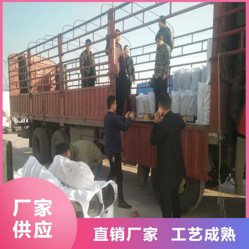 双向钢塑土工格栅价格