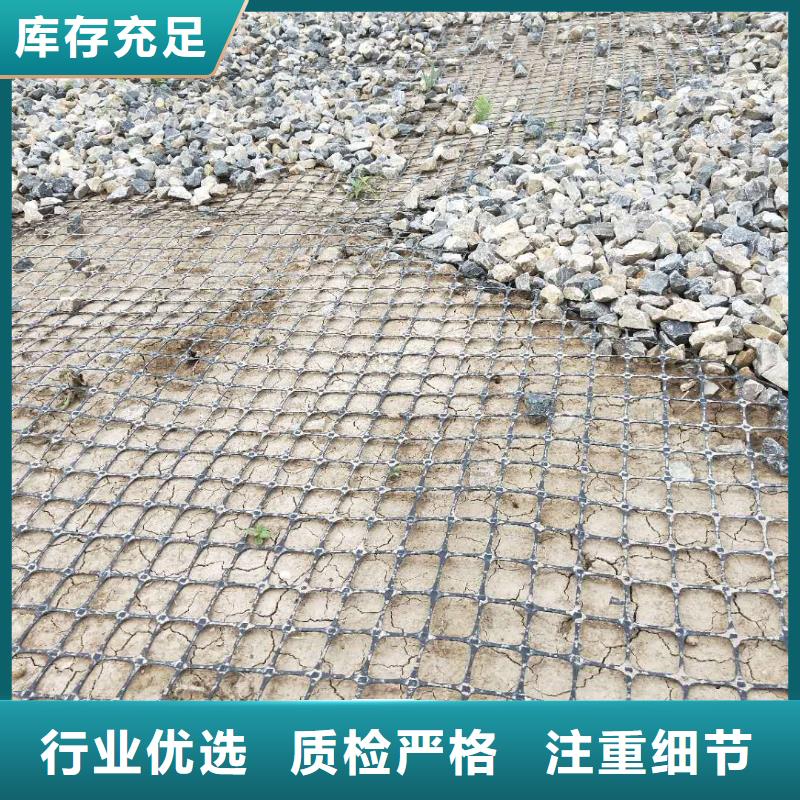 钢塑焊接土工格栅价格实惠