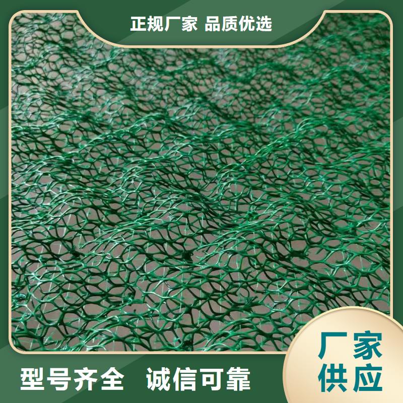 土工布塑料土工格柵多種規(guī)格供您選擇