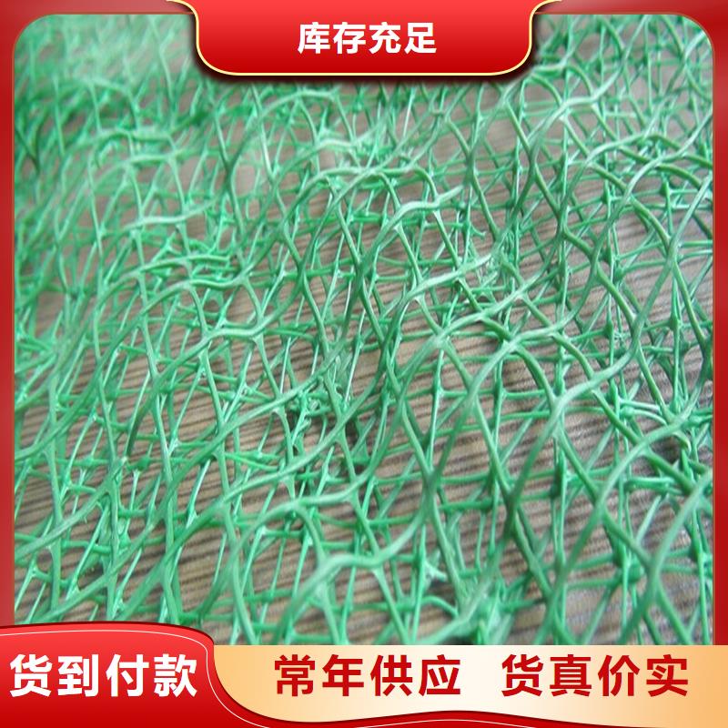 土工布塑料玻纤格栅现货直发