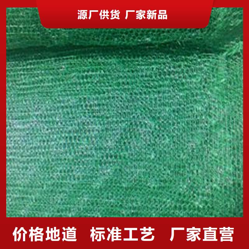 土工布三维植被网专注细节更放心