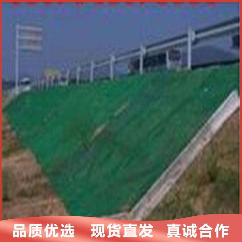 防滲土工膜單價