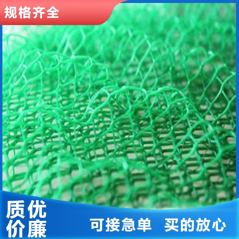 土工布双向塑料土工格栅检验发货