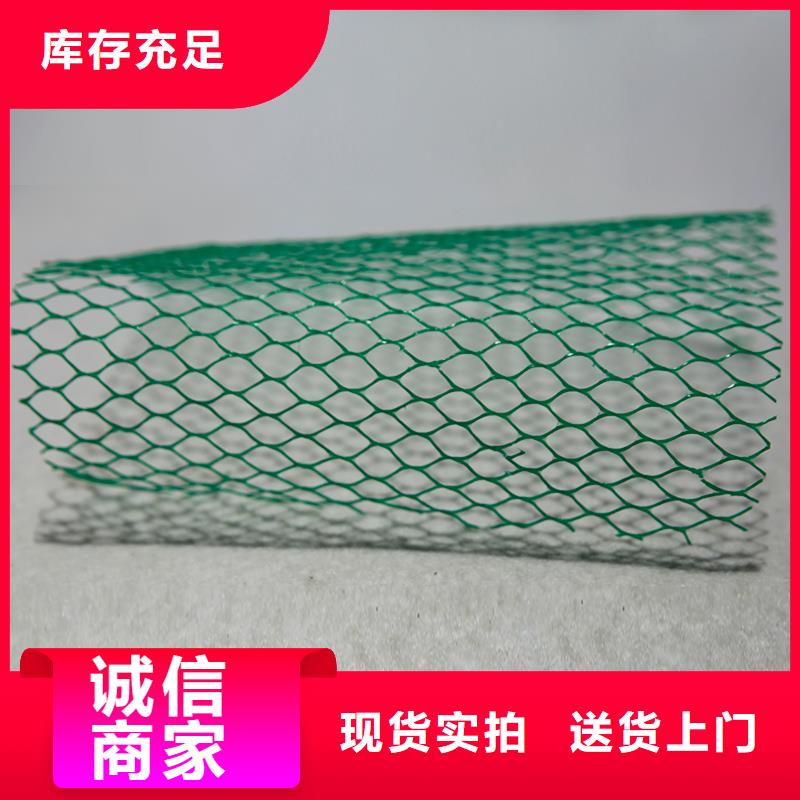 土工布钢塑土工格栅采购