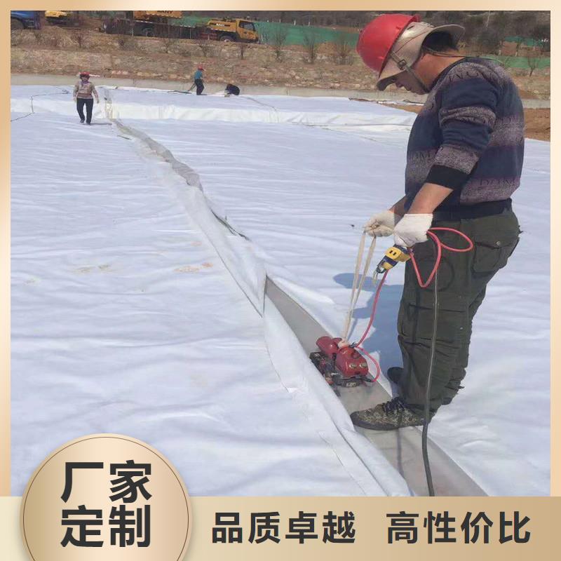 防滲土工膜單價