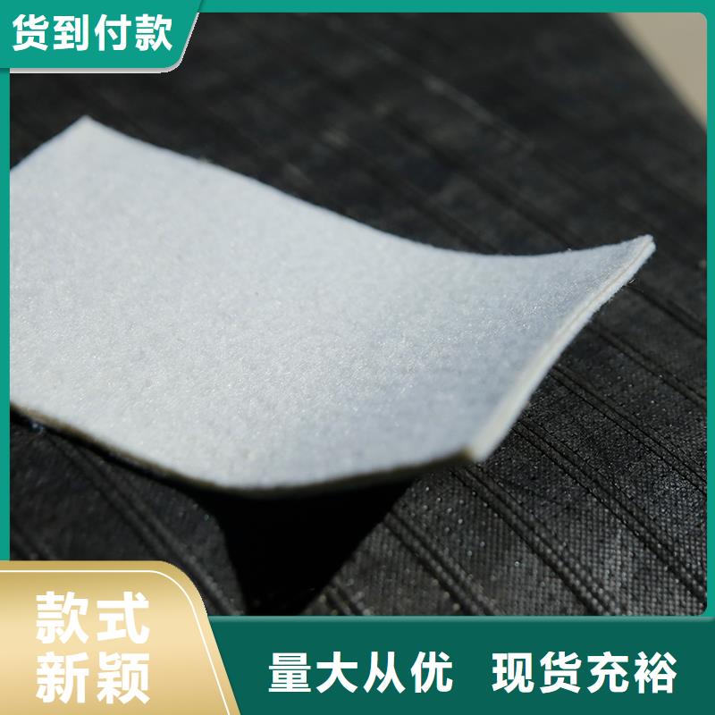 土工布钢塑土工格栅采购