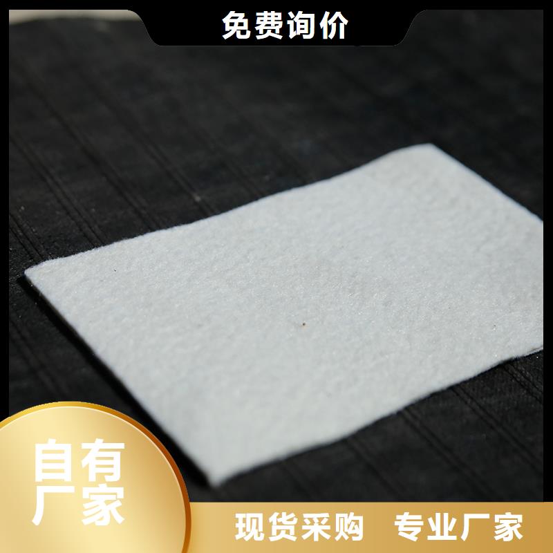 土工布塑料土工格栅多种规格供您选择
