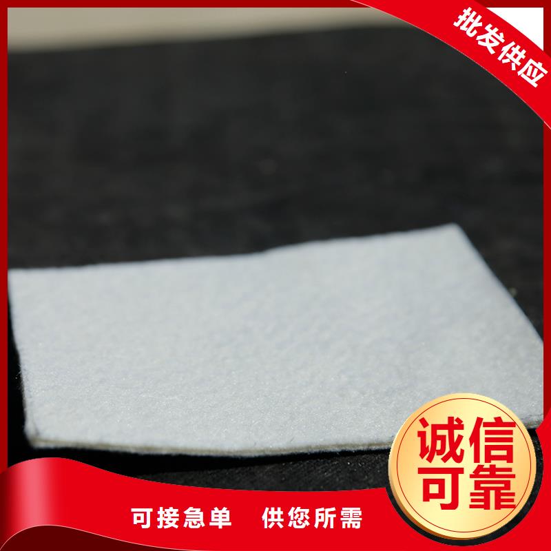 土工布_玻纤土工格栅厂家规格全
