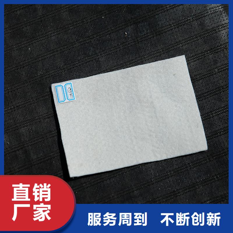 【土工布钢塑土工格栅放心得选择】