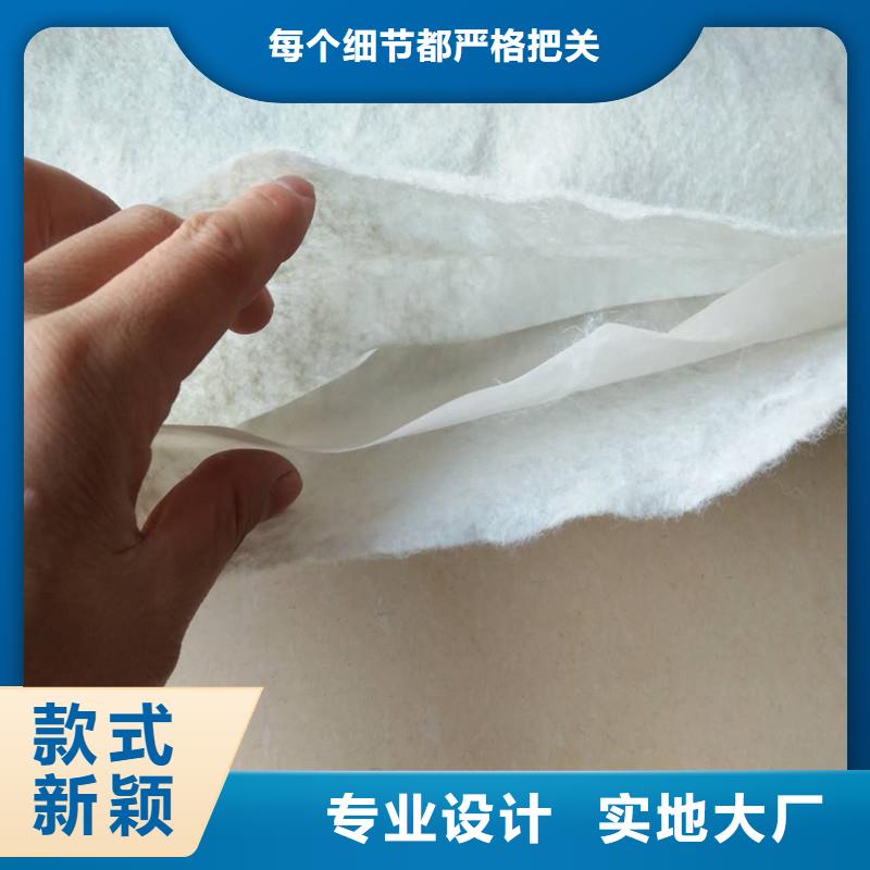 公路土工布廠家