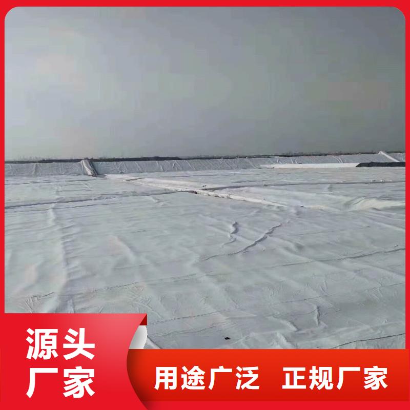 防滲土工布廠家現(xiàn)貨
