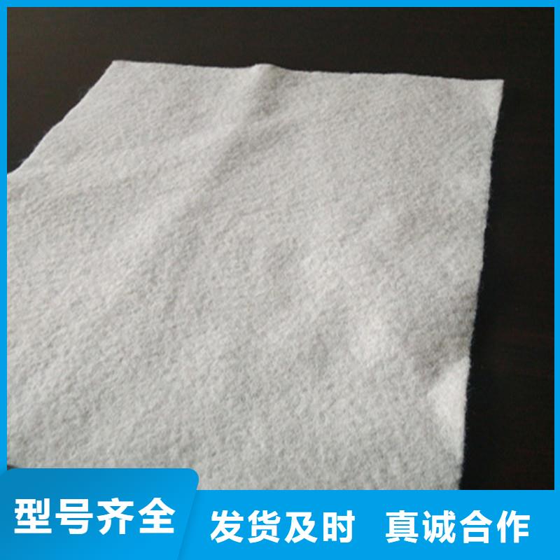 土工布_玻纤土工格栅厂家规格全