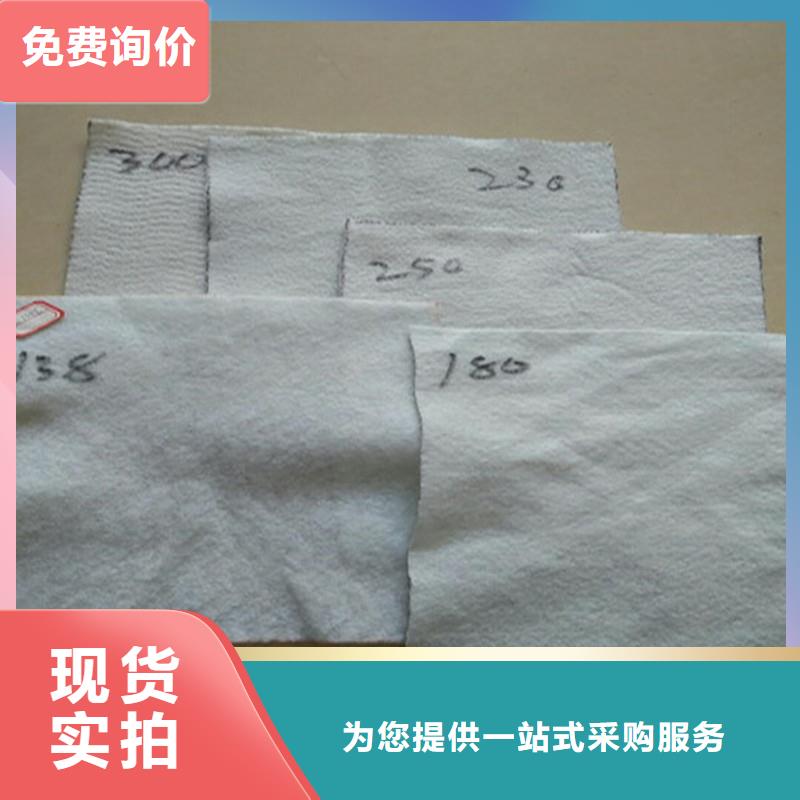 选择大厂家事心 土工布快速物流发货本地咨询