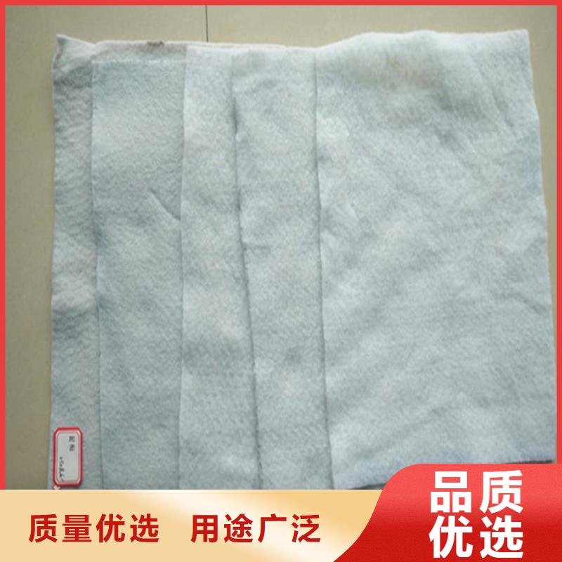 土工布三维植被网专注细节更放心