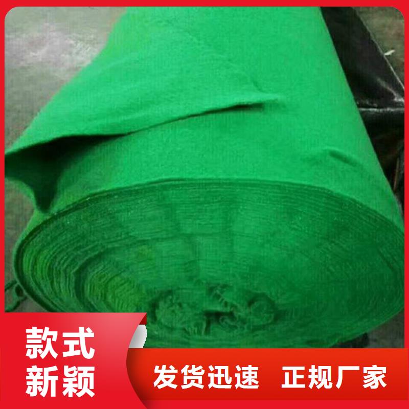 上海采购金利土工布双向塑料土工格栅厂家十分靠谱