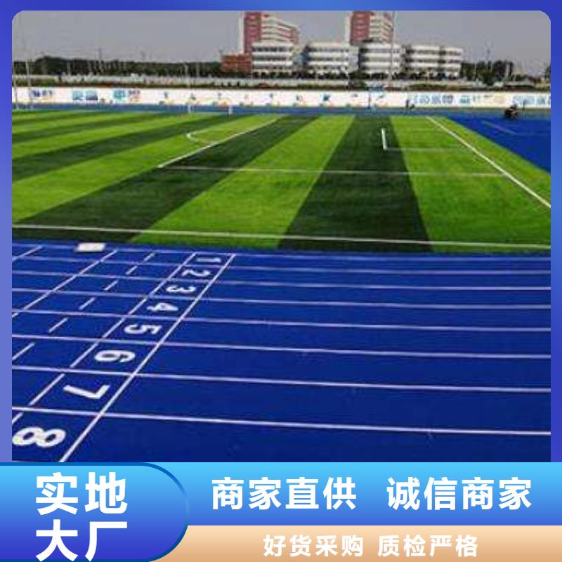 【EPDM塑胶跑道】_塑胶跑道厂家大量现货-同美体育设施(商洛市分公司)